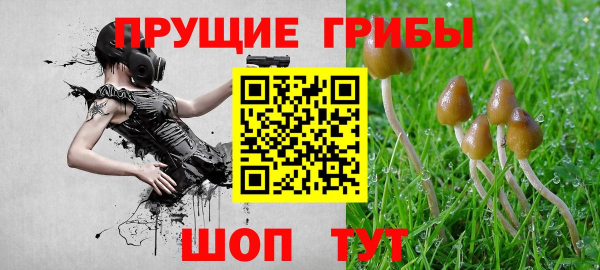 Галлюциногенные грибы Cubensis Туапсе